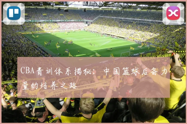 CBA青训体系揭秘:中国篮球后备力量的培养之路